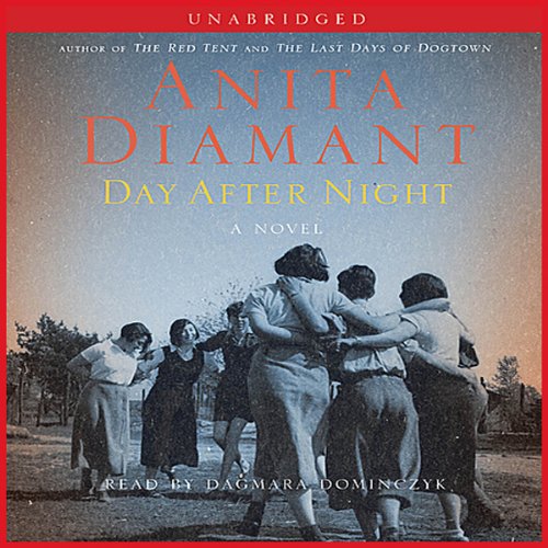 Cover of Day After Night
