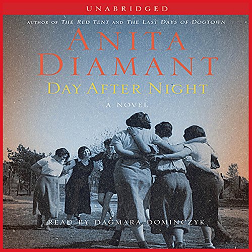 Cover of Day After Night