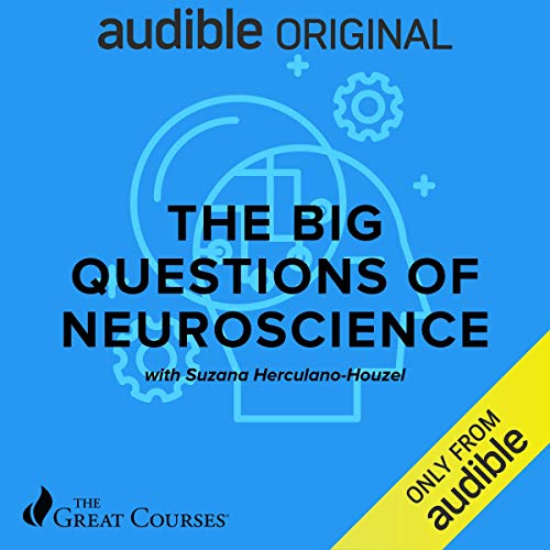 Cover of The Big Questions of Neuroscience
