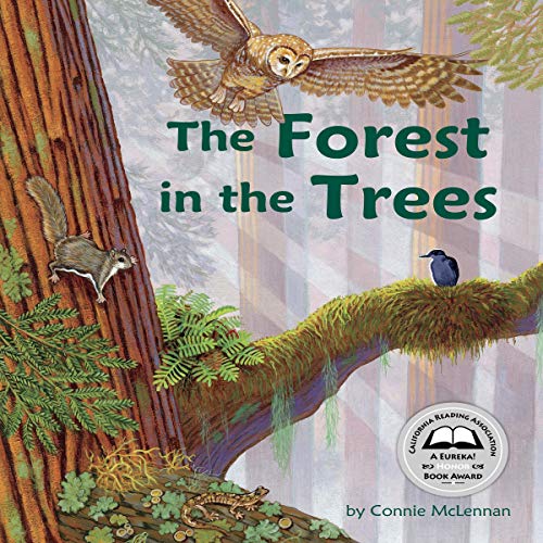 Cover of The Forest in the Trees