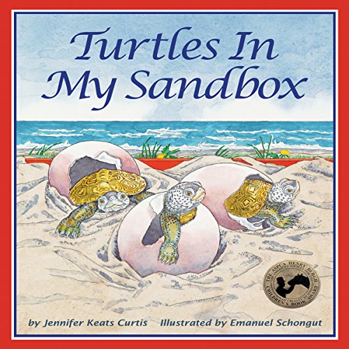 Cover of Turtles in My Sandbox