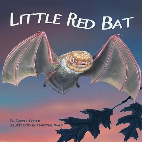 Cover of Little Red Bat