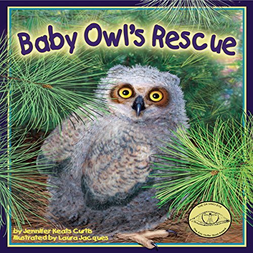 Cover of Baby Owl's Rescue