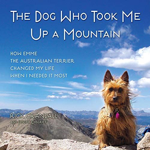 Cover of The Dog Who Took Me Up a Mountain