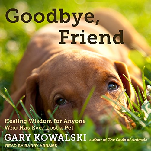 Cover of Goodbye, Friend