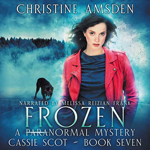 Cover of Frozen: A ParaNormal Mystery
