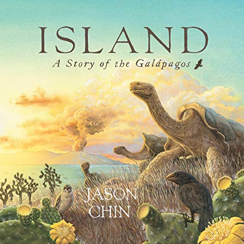 Cover of Island: A Story of the Galapagos