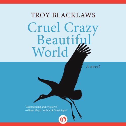 Cover of Cruel Crazy Beautiful World