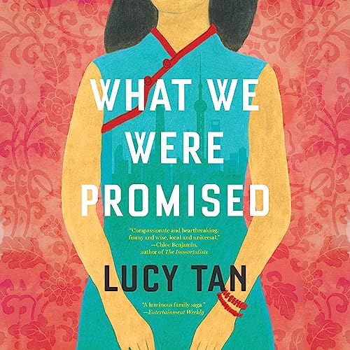 Cover of What We Were Promised