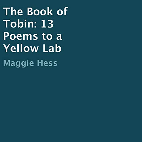 Cover of The Book of Tobin