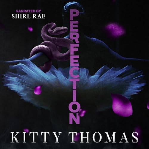 Cover of Perfection