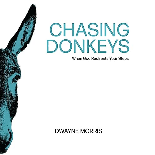 Cover of Chasing Donkeys