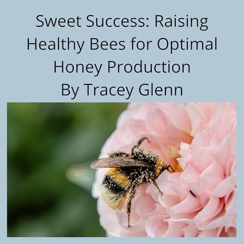 Cover of Sweet Success