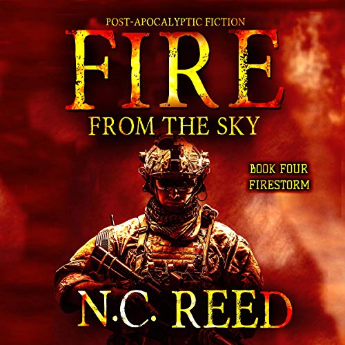 Cover of Fire from the sky: Firestorm