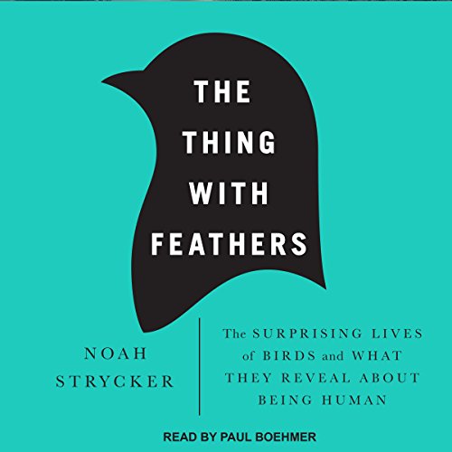 Cover of The Thing with Feathers