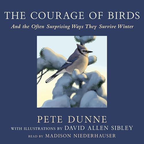 Cover of The Courage of Birds