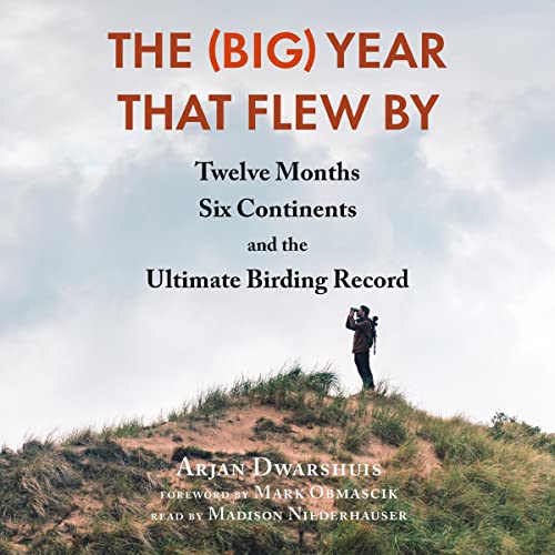 Cover of The (Big) Year That Flew By