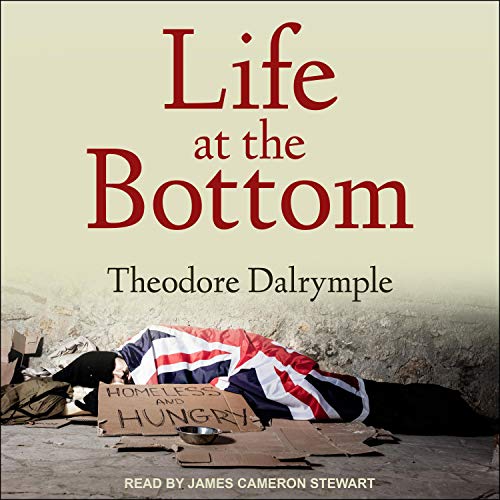 Cover of Life at the Bottom