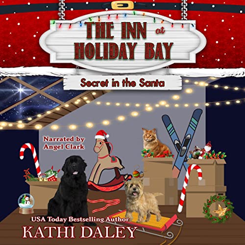 Cover of Secret in the Santa