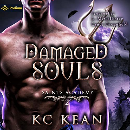 Cover of Damaged Souls