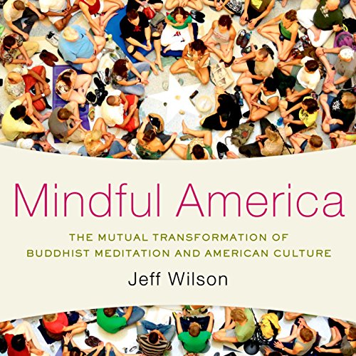Cover of Mindful America