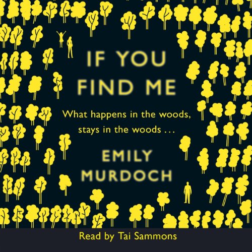 Cover of If You Find Me