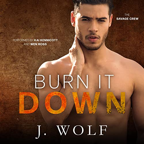 Cover of Burn It Down