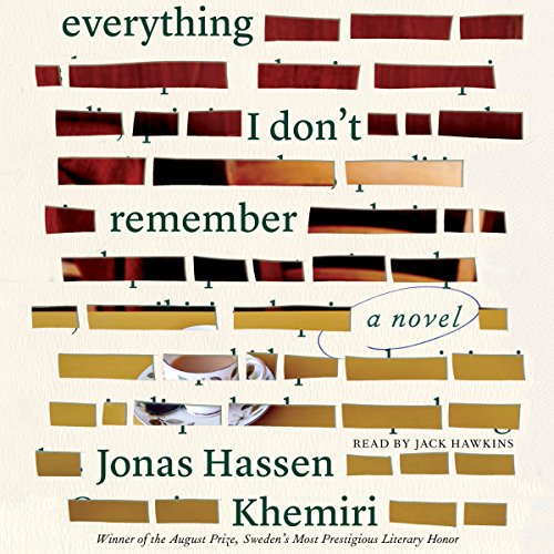 Cover of Everything I Don't Remember