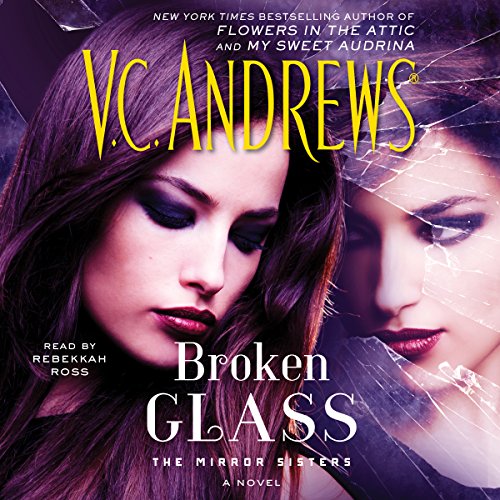 Cover of Broken Glass