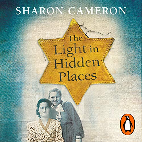 Cover of The Light in Hidden Places