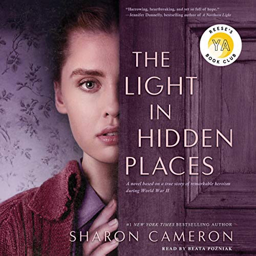 Cover of The Light in Hidden Places