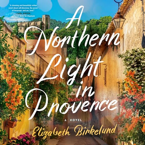 Cover of A Northern Light in Provence