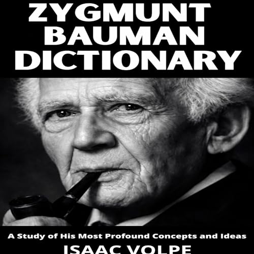 Cover of Zygmunt Bauman Dictionary