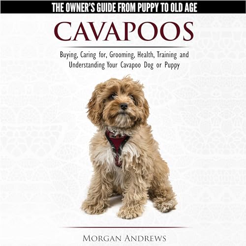 Cover of Cavapoos