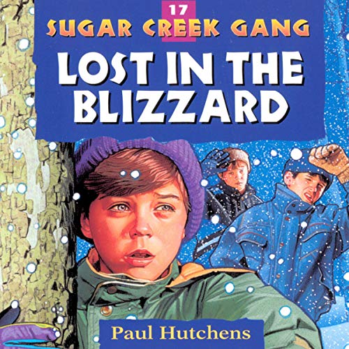 Cover of Lost in the Blizzard