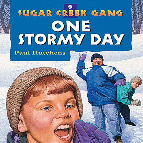 Cover of One Stormy Day