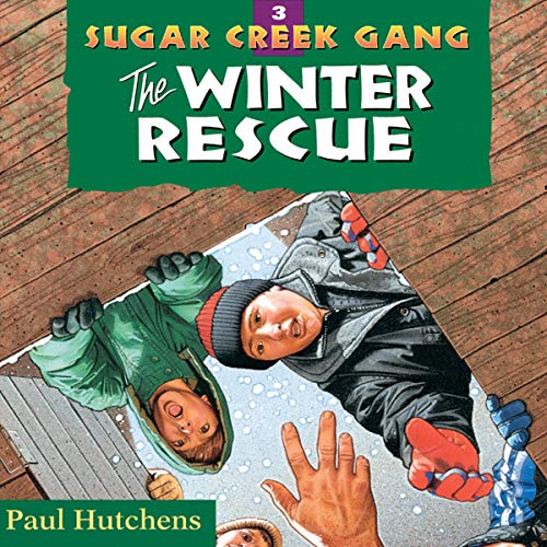Cover of The Winter Rescue