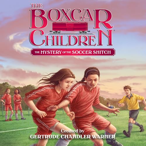 Cover of The Mystery of the Soccer Snitch