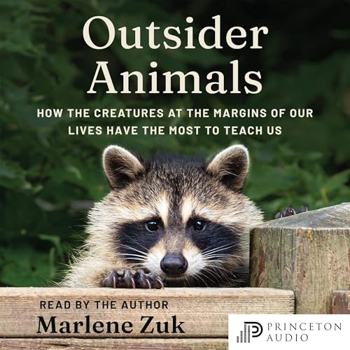Cover of Outsider Animals
