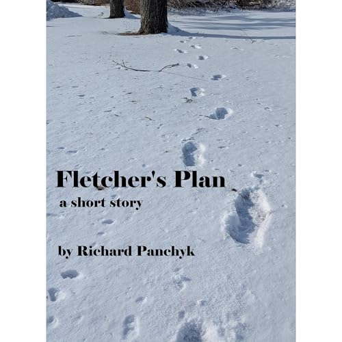 Cover of Fletcher's Plan