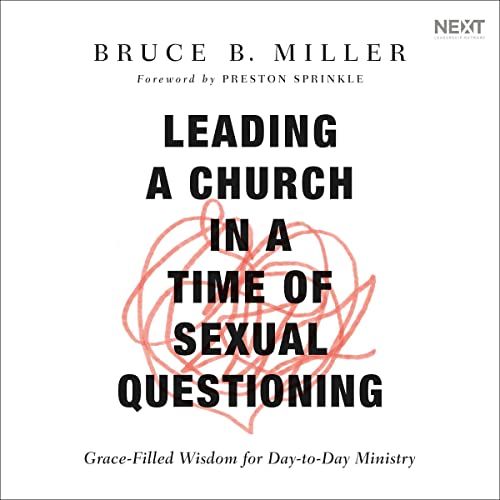 Cover of Leading a Church in a Time of Sexual Questioning