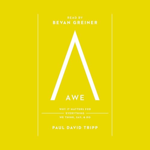 Cover of Awe