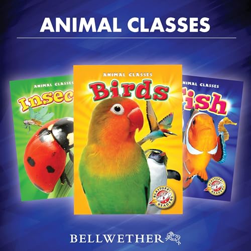 Cover of Animal Classes