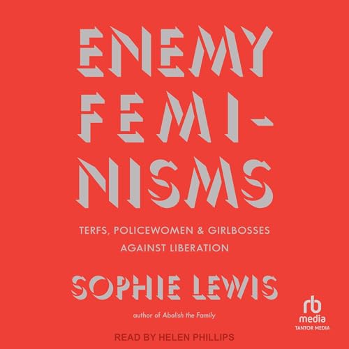 Cover of Enemy Feminisms