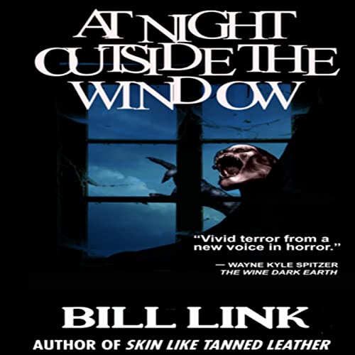 Cover of At Night Outside the Window