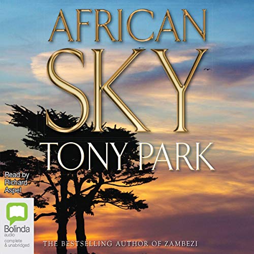 Cover of African Sky