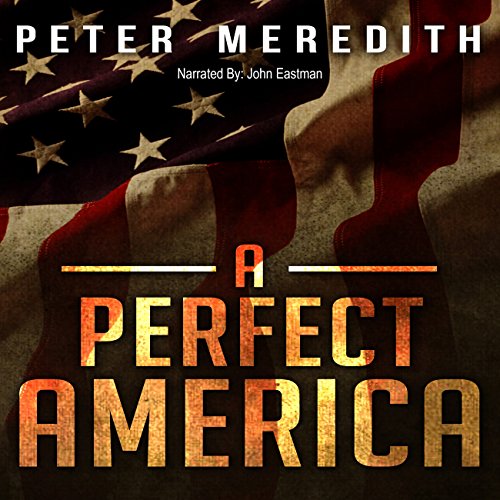 Cover of A Perfect America