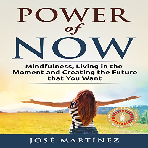 Cover of Power of Now