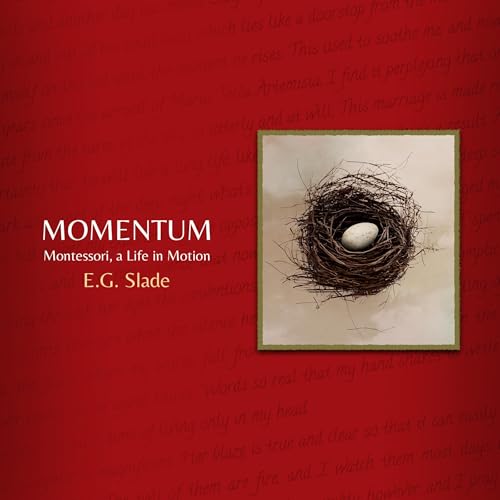 Cover of Momentum
