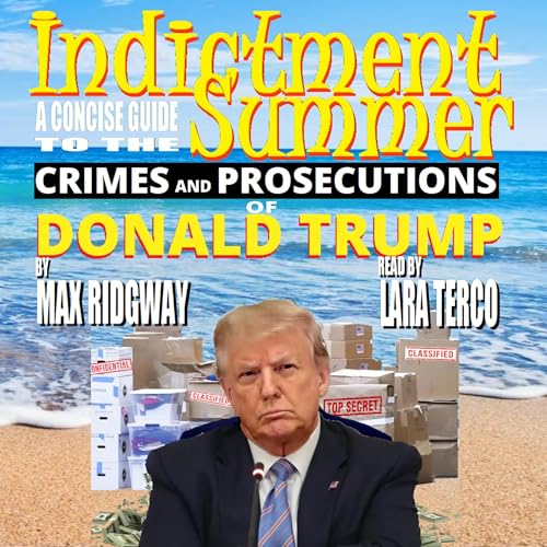 Cover of Indictment Summer